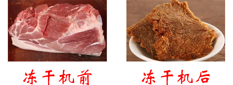 冻干猪肉的操作方法